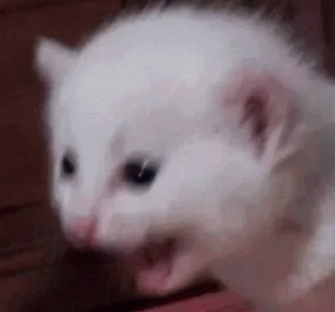 Me
